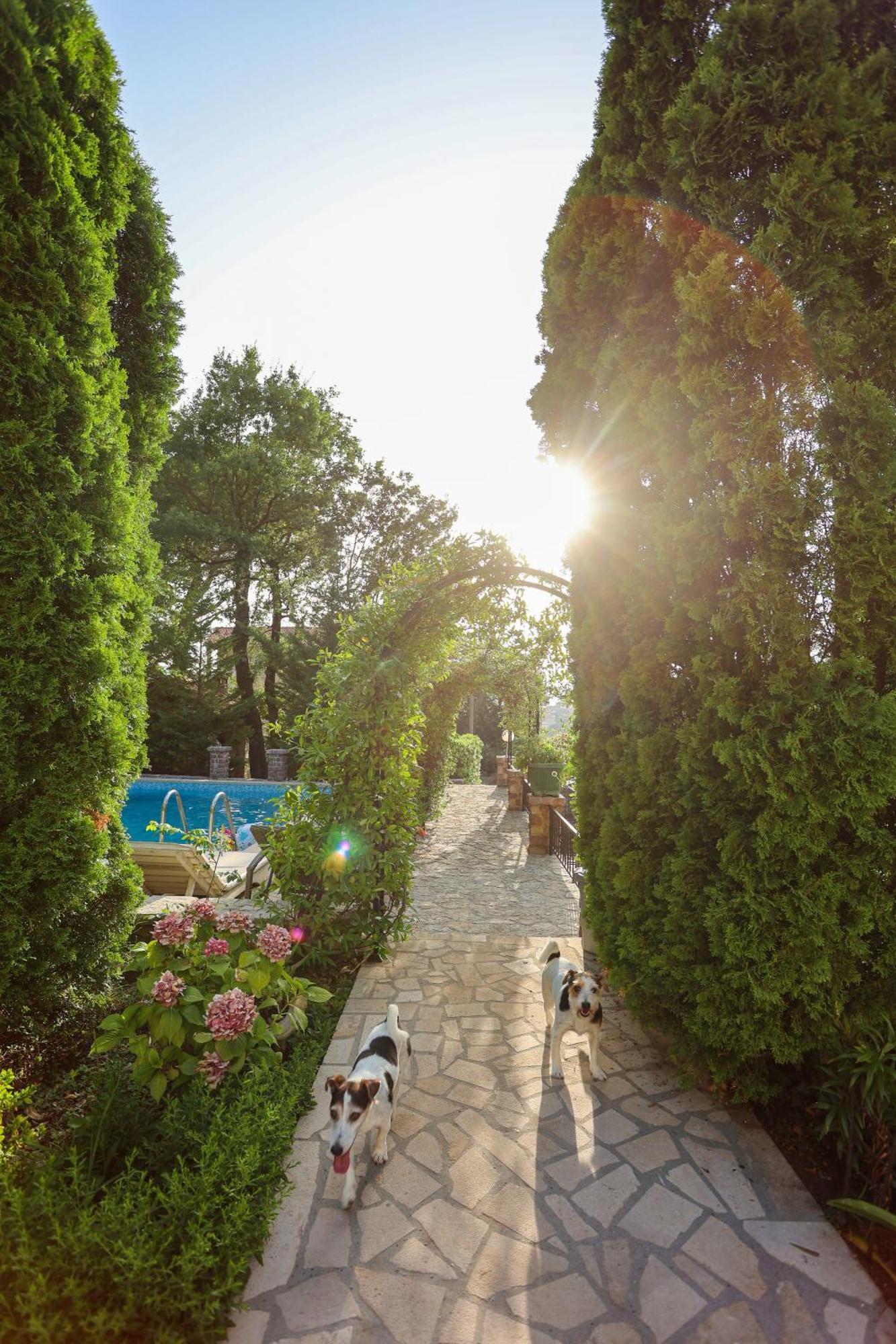 Villa Besha ヘルツェグ・ノヴィ エクステリア 写真